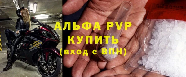 хмурый Ладушкин