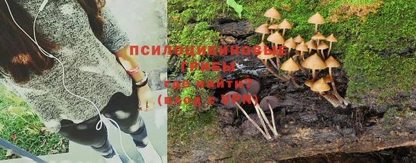 хмурый Ладушкин