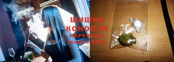 хмурый Ладушкин
