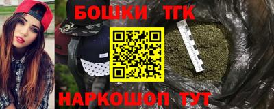индика Гагарин