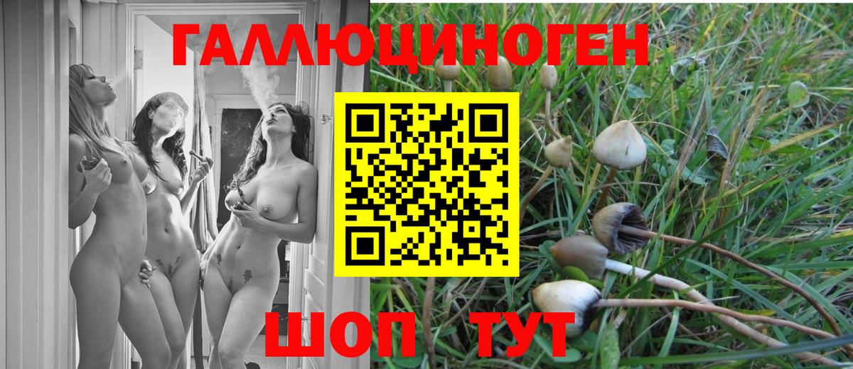 Галлюциногенные грибы Magic Shrooms Десногорск