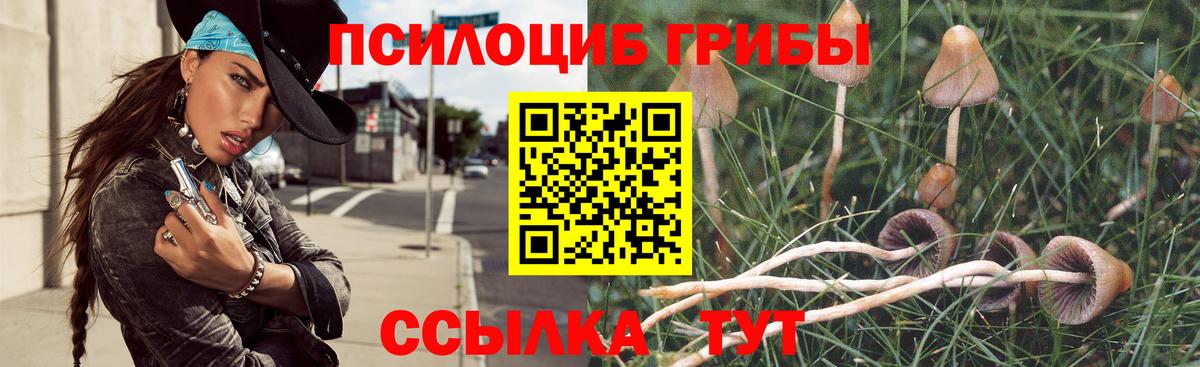 Галлюциногенные грибы MAGIC MUSHROOMS  Десногорск 