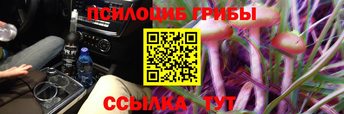 Десногорск  Псилоцибиновые грибы Psilocybine cubensis  Вход с VPN 