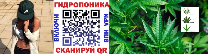 Бошки марихуана White Widow  блэк спрут как зайти  Десногорск 